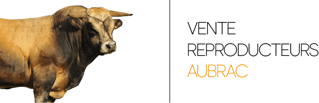 Vente-aubrac